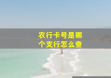 农行卡号是哪个支行怎么查