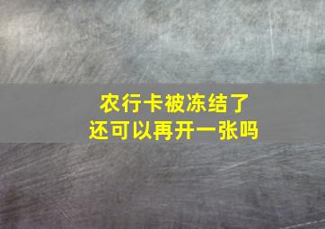 农行卡被冻结了还可以再开一张吗