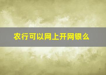 农行可以网上开网银么