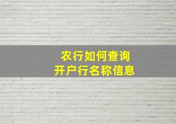 农行如何查询开户行名称信息