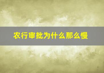 农行审批为什么那么慢