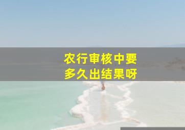 农行审核中要多久出结果呀