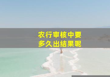 农行审核中要多久出结果呢