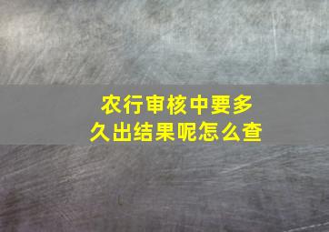 农行审核中要多久出结果呢怎么查