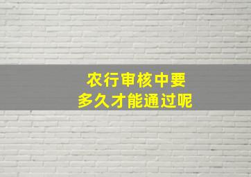 农行审核中要多久才能通过呢