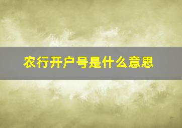 农行开户号是什么意思