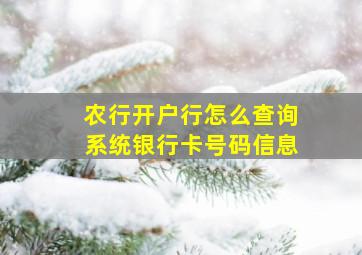 农行开户行怎么查询系统银行卡号码信息