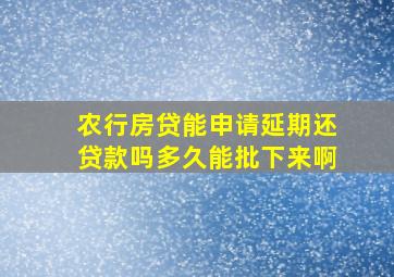 农行房贷能申请延期还贷款吗多久能批下来啊