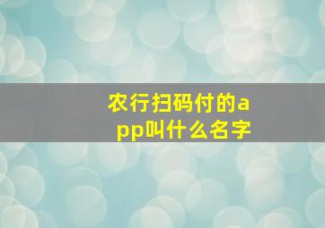 农行扫码付的app叫什么名字