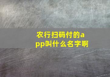 农行扫码付的app叫什么名字啊