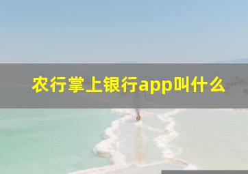 农行掌上银行app叫什么