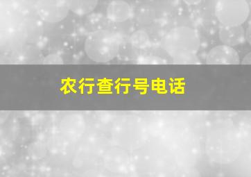 农行查行号电话