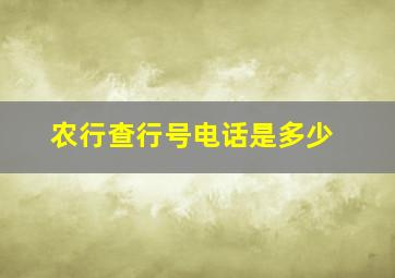 农行查行号电话是多少