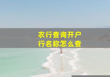 农行查询开户行名称怎么查