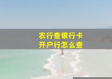 农行查银行卡开户行怎么查