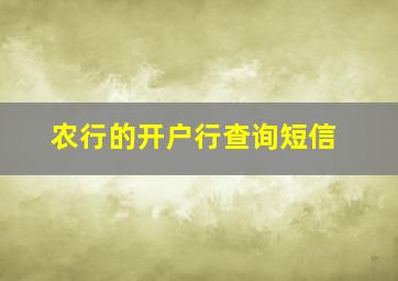 农行的开户行查询短信