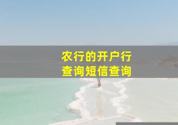 农行的开户行查询短信查询