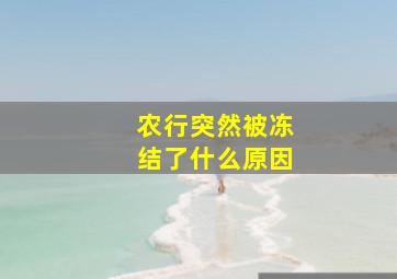 农行突然被冻结了什么原因