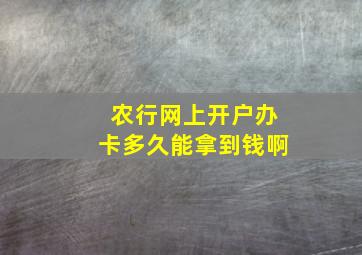 农行网上开户办卡多久能拿到钱啊