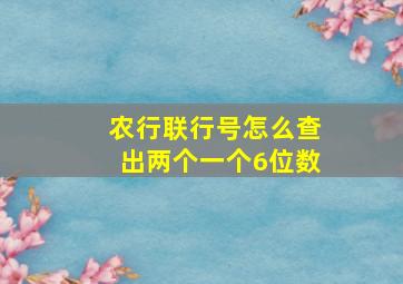 农行联行号怎么查出两个一个6位数