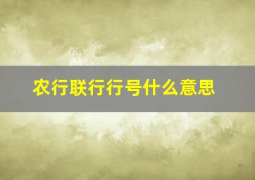 农行联行行号什么意思