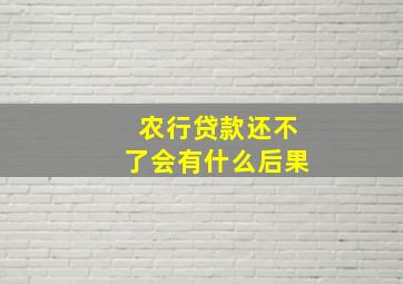 农行贷款还不了会有什么后果