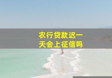 农行贷款迟一天会上征信吗