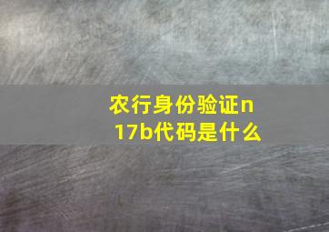 农行身份验证n17b代码是什么