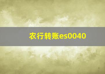 农行转账es0040