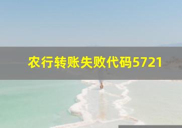 农行转账失败代码5721