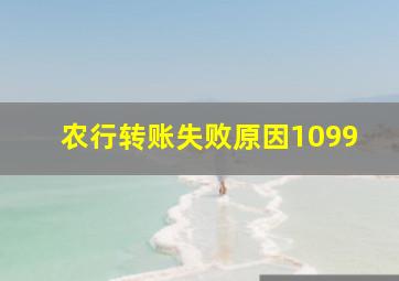 农行转账失败原因1099