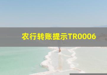 农行转账提示TR0006