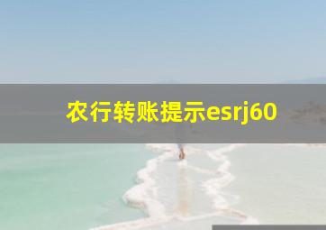 农行转账提示esrj60