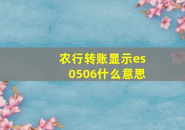 农行转账显示es0506什么意思