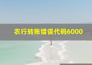 农行转账错误代码6000