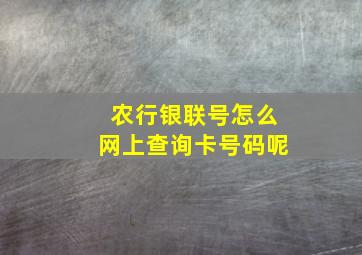 农行银联号怎么网上查询卡号码呢