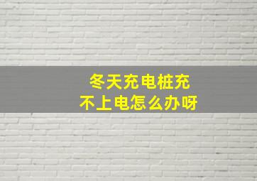 冬天充电桩充不上电怎么办呀