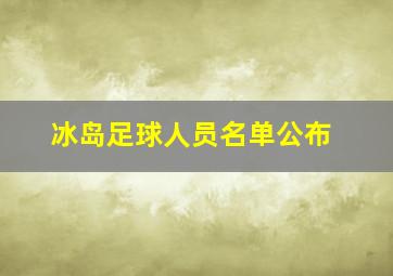 冰岛足球人员名单公布