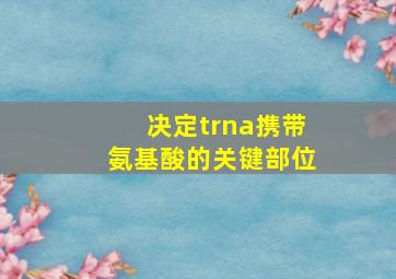 决定trna携带氨基酸的关键部位