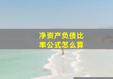 净资产负债比率公式怎么算