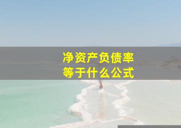 净资产负债率等于什么公式