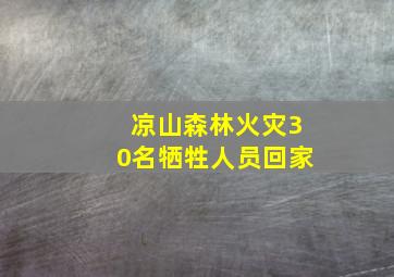 凉山森林火灾30名牺牲人员回家