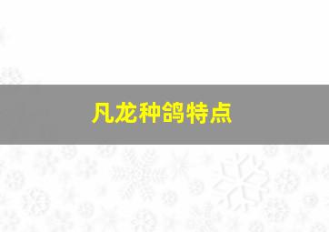 凡龙种鸽特点