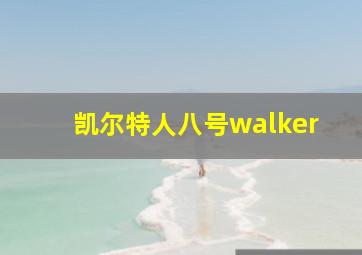 凯尔特人八号walker