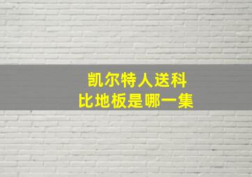 凯尔特人送科比地板是哪一集