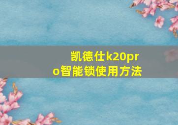 凯德仕k20pro智能锁使用方法