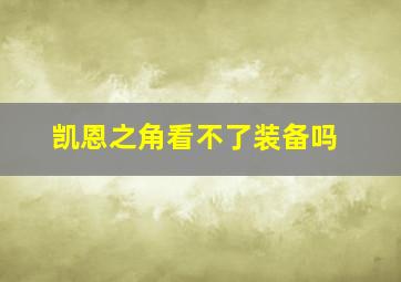 凯恩之角看不了装备吗