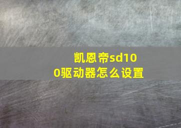 凯恩帝sd100驱动器怎么设置