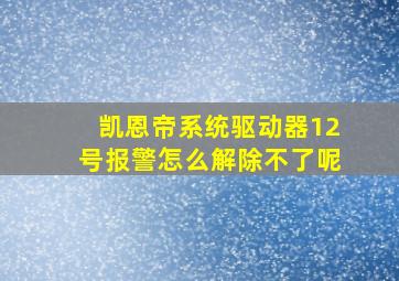 凯恩帝系统驱动器12号报警怎么解除不了呢