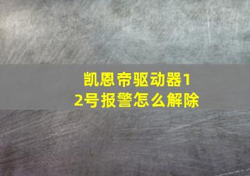 凯恩帝驱动器12号报警怎么解除